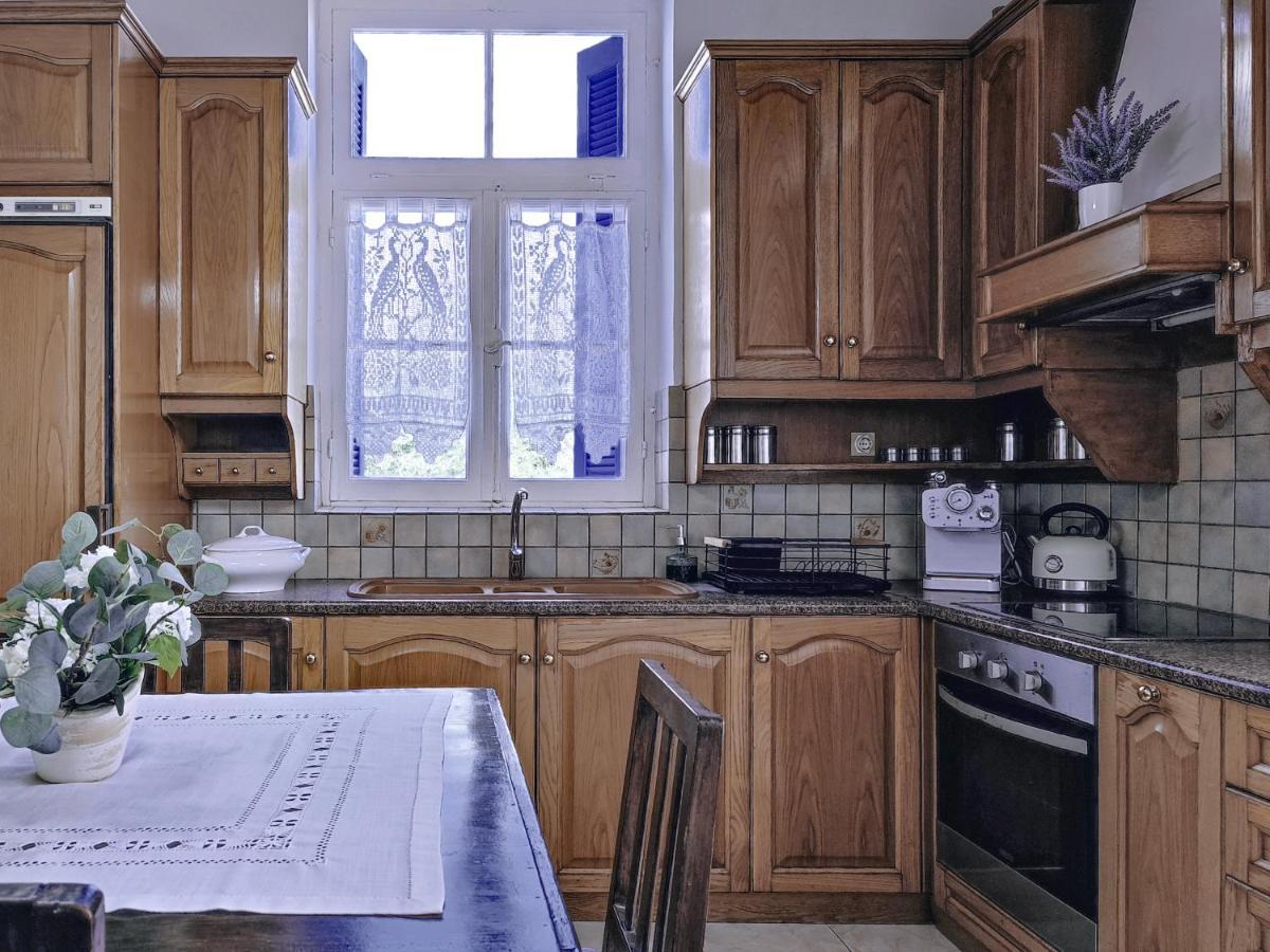 Anticlea I Villa Vathy  Bagian luar foto